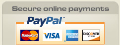 Secure PayPal payments